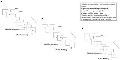 Recovery sleep attenuates impairments in working memory following total sleep deprivation